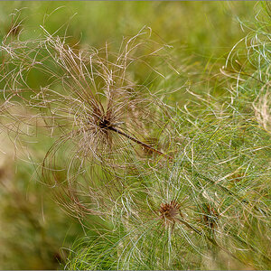 D50_0791.jpg