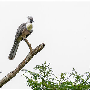 D50_1439-Bearbeitet.jpg