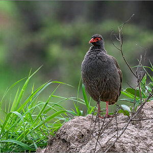 D50_1515-Bearbeitet.jpg