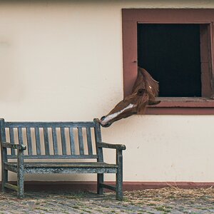 Her mit der Bank!