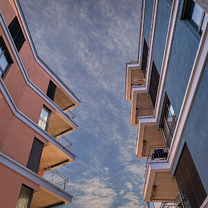 29-365.jpg