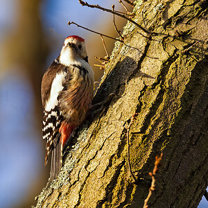 NIKON Z 7_2_2022_01_28_10_50_Z72_1993 (2).jpg