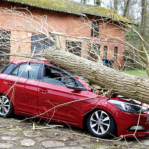Sturm 09.02.2019.jpg