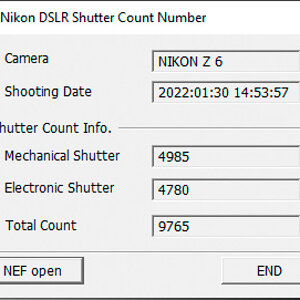 Shutter count.jpg
