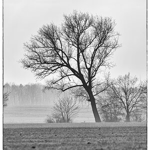 comp__M000051-Bearbeitet.jpg