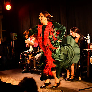 Flamenco.Granada.1.jpg