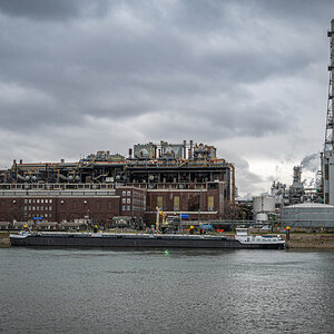 20220201-NZ6_7063.jpg