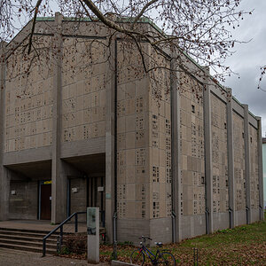 20220131-NZ6_7043.jpg