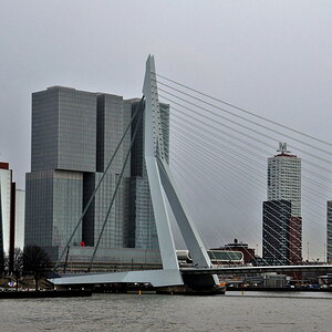 Rotterdam .jpg