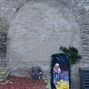 OF2_55148.jpg