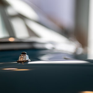 _Z6Z4130-85.jpg