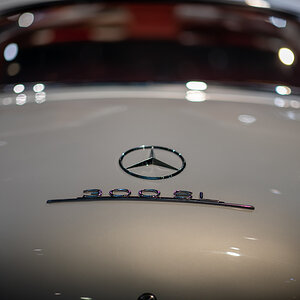 851_8054-31.jpg