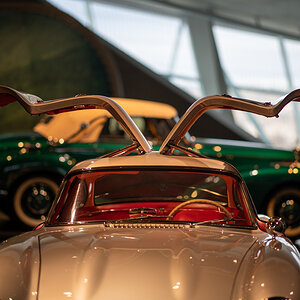 851_8061-37.jpg