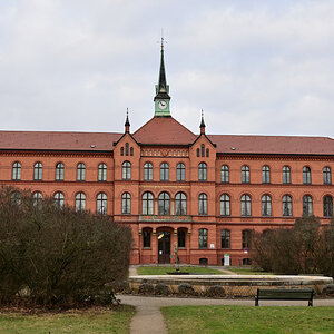 DSC_9775.JPG