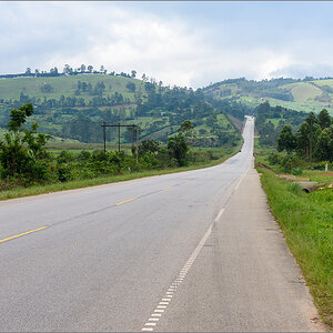D75_7097.jpg