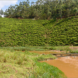 D75_7164.jpg