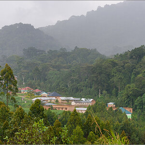 D75_7175.jpg