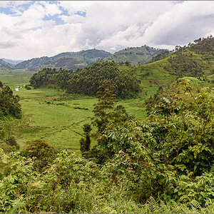 D75_7309.jpg