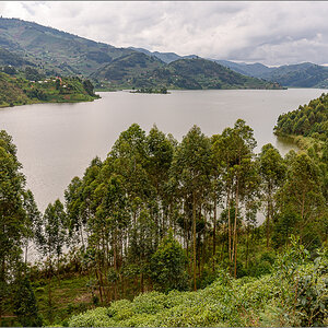 D75_7324.jpg