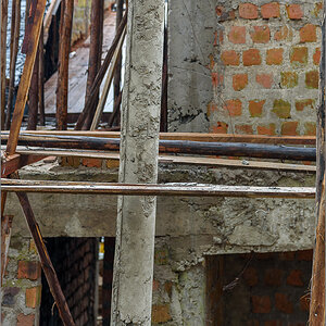 D75_7331.jpg