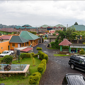 D75_7333.jpg