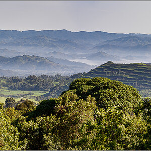D75_7359-Pano.jpg