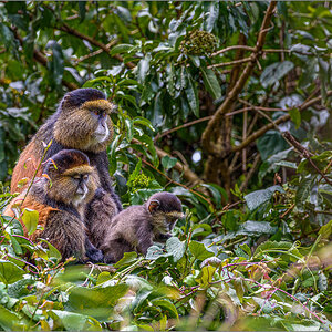 D75_7647-Bearbeitet.jpg