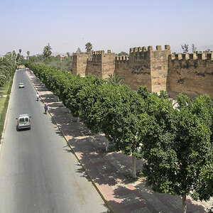 20220209 wowarich.jpg