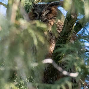 20220211-D50_6998-Bearbeitet.jpg