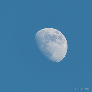 20220211-D50_7013-Bearbeitet.jpg
