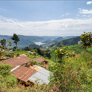 D75_7726.jpg