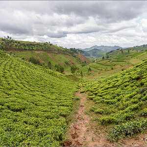 D75_7791.jpg