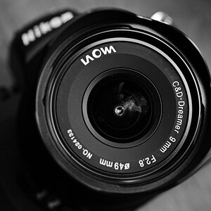 Z62_3834.JPG