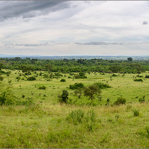 D75_8095-Pano.jpg