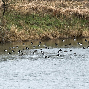 20220216-D50_7078-Bearbeitet.jpg
