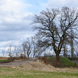 OF2_55205.jpg