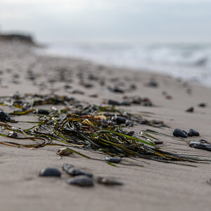 Ostseetour-10.jpg