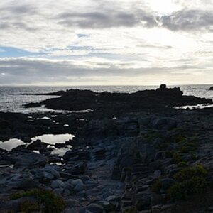 DSM_3233_pano_nff.jpg