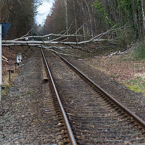 Sturmschaden Bahn (1 von 1).jpg