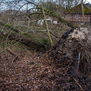 Sturmschaden Häcklingen (1 von 1).jpg