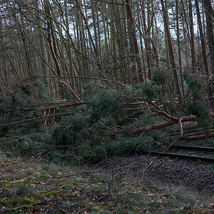 Sturmschaden Bahn 2 (1 von 1).jpg