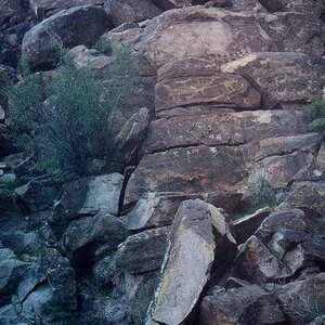 img091.jpg
