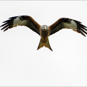 D72_6274-Bearbeitet.jpg