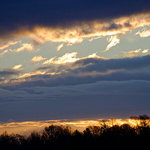 DSC_1179.jpg