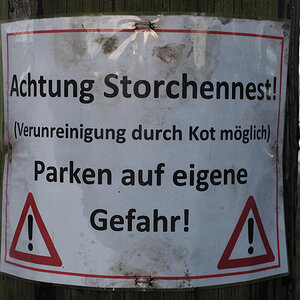 Storchennest.jpg