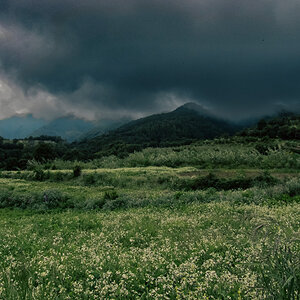 La Palma