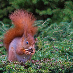 DSC_5324_sm.jpg