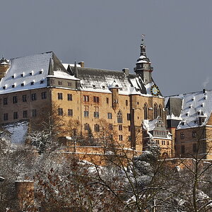 DSC_4444_nff.JPG