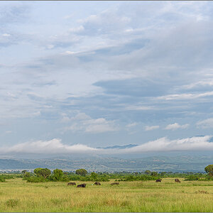 D75_8284.jpg