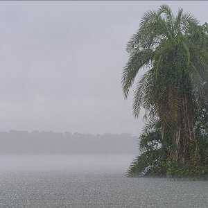 D75_8342.jpg